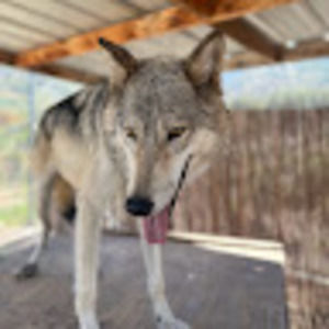 Meet your Posher, Elena